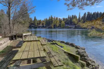 Picnic and Bird Watching Locale