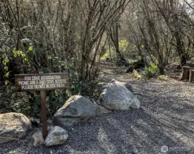 Fox Cove Picnic Area
