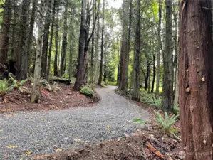 Level gravel access through tranquil and private forest.