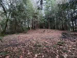 Large level pad for camping or potential homesite.