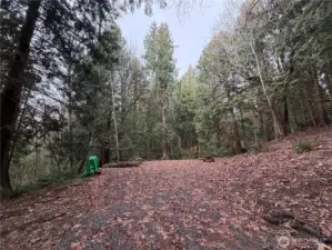 Large level pad for camping or potential homesite.
