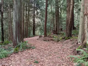Picturesque gravel access road leads to large level pad.