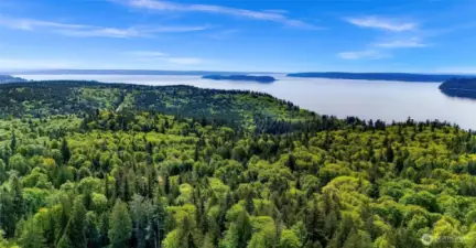 Surrounded by lush forest and a stone's throw from saltwater.