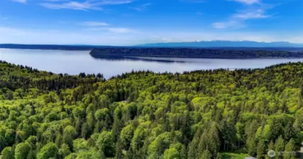 Surrounded by lush forest and a stone's throw from saltwater.