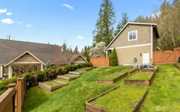 Raised Garden Beds~Southern Sun Exposure~Grow your own Food~Organic Eating~Still Time to Plant Tomatoes~Room for a Chicken Coop too~
