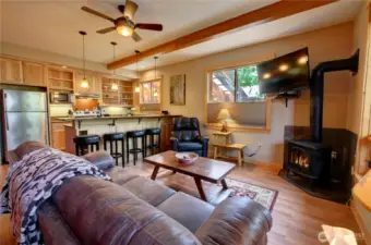 Free standing propane stove in living room for added warmth on very cold days and ambiance for any day of the year.