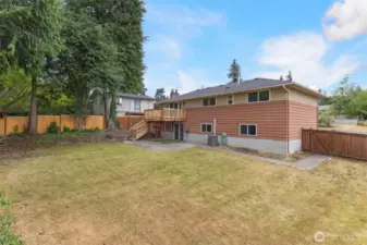 Look at the size of this backyard. Wow!