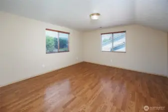 Large Bonus Room