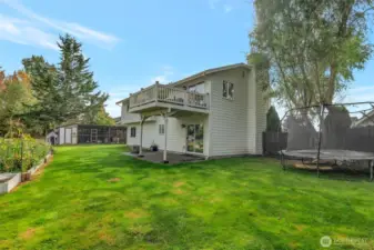 Large backyard with outbuildings