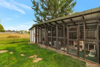 Chicken coop can stay or go