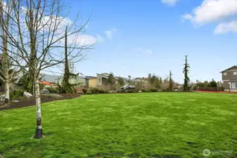 Open Space Area for Outside Gatherings