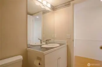 Downstairs Guest Bathroom