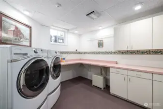 Basement Utility/Laundry Room