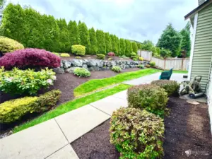 Backyard and garden