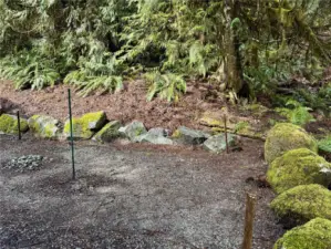 Great area to put a firepit, or to build something.
