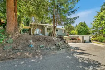 Mature trees and landscaping abound on this large lot.