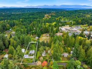 Stroll to Rolling Bay's Via Rosa, Rolling Bay Cafe, Briny Bagels and Bay Hay and Feed.