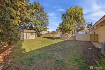 Backyard with shed