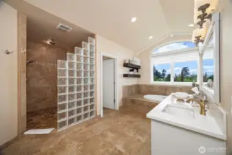 Large Master Bathroom