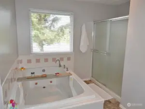 Master Bathroom w/ large jetted tub and full walk-in shower. Views of Duck Lake.