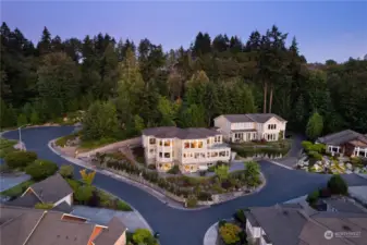 Drone of the 8339 square feet! Low maintenance yard, backs to native growth. Driveway to the left and driveway to the right. 4 garages total