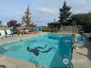 Pool w/ plenty lounging areas