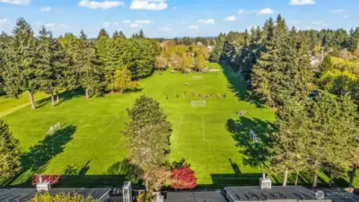 Community View