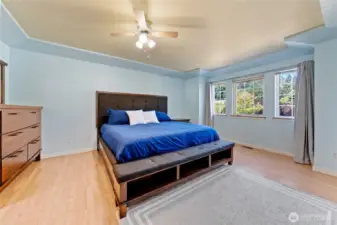 Large primary bedroom with windows that face the front of the home.  Ceiling fan keeps you cool and tray ceilings give the room an upgraded elegant feel.
