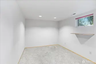 1 of the additional rooms in the basement