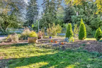 Native plant pollinator garden attracts hummingbirds, bees, and supports natural habitats.