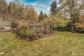 Fenced veggie garden.