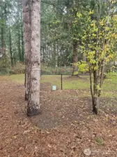 Area for dogs. Fenced area.