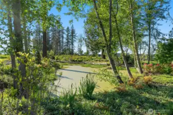 Sewtiment retention pond recently installed