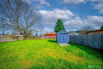 Fully fenced backyard with shed on concrete slab, painted to match the house.