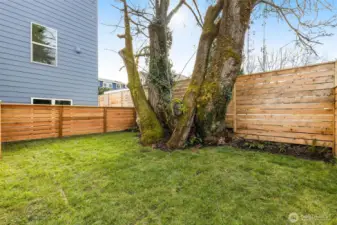 Perfect for pets and even offers some gardening space