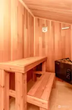 Dry or steam sauna