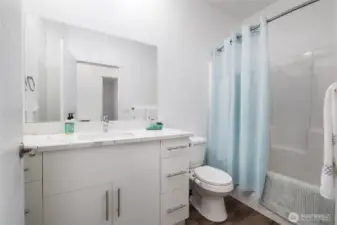 Lower level full bathroom