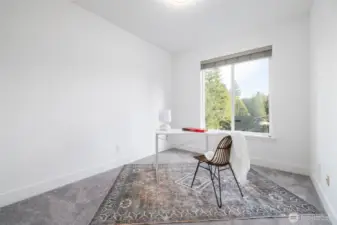 Lower level bedroom