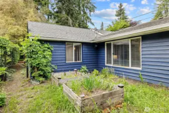 Side yard with raised garden beds