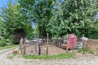 Fenced in Chicken Coop