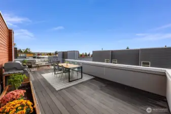 huge rooftop deck with planters and plenty of space for any kind of entertaining.