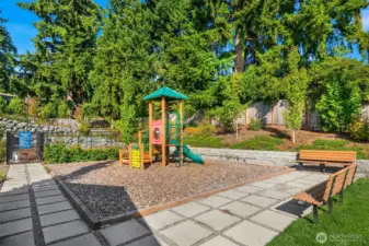 Daily fun and the gathering place!