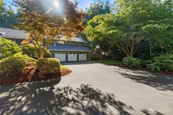 4 Car Garage plus Shed