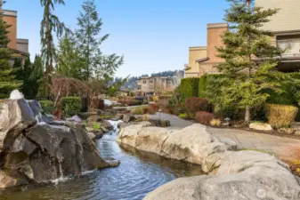 Pond right off the scenic walking path