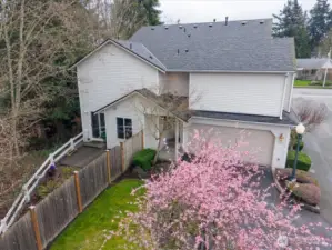 Room for a sweet companion pet~