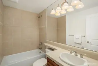 Lower level full bathroom.