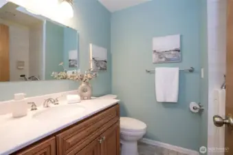 Downstairs bathroom with walk in bathtub