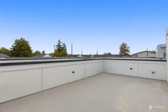 Take in the open skies and surrounding neighborhood views from this expansive roof deck. It's ready for you to personalize—whether for relaxation or entertaining under the stars.