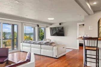 Lower Level Family Room