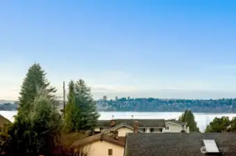View from upper level bedroom